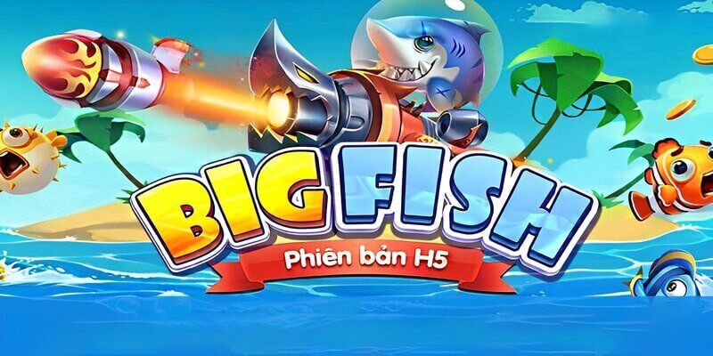 BancaH5